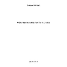 Avenir de l'industrie minièreen guinée