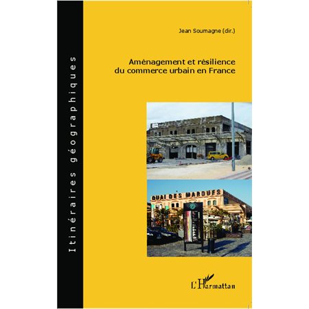 Aménagement et résilience du commerce urbain en France