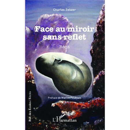 Face au miroir sans reflet