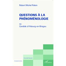 Questions à la phénoménologie