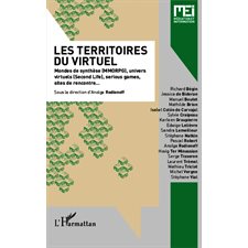 Les territoires du virtuel