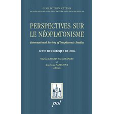 Perspectives sur le néoplatonisme